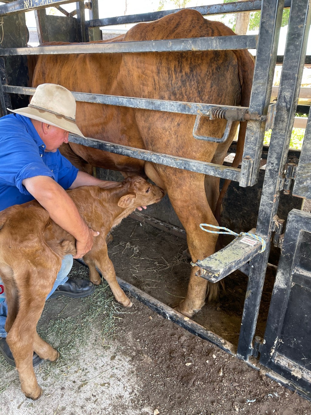 The Not So Glamour Part of&nbsp;Farming